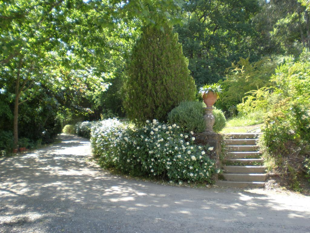Quinta Da Vargem Unhais Da Serra Εξωτερικό φωτογραφία